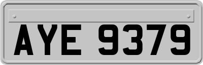 AYE9379