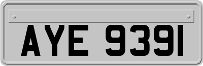 AYE9391