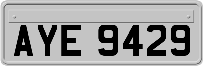 AYE9429