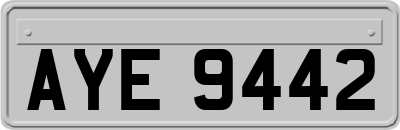 AYE9442