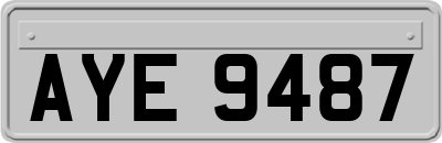 AYE9487