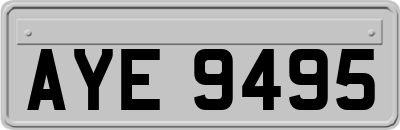 AYE9495
