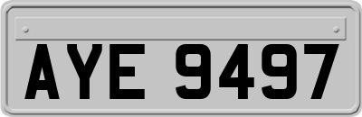 AYE9497