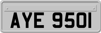 AYE9501