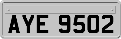 AYE9502