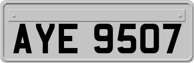 AYE9507