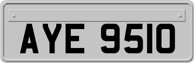 AYE9510