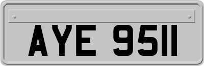 AYE9511