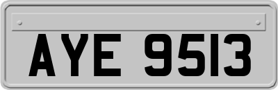 AYE9513