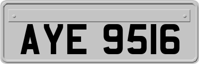AYE9516