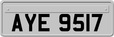 AYE9517