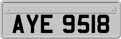 AYE9518