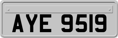AYE9519