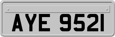 AYE9521