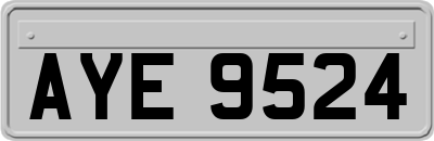 AYE9524