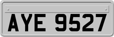 AYE9527