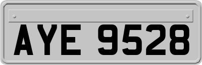 AYE9528