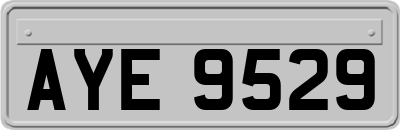 AYE9529