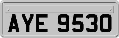 AYE9530