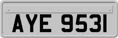 AYE9531