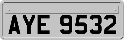 AYE9532