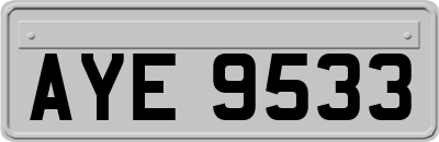AYE9533