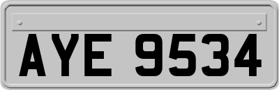 AYE9534