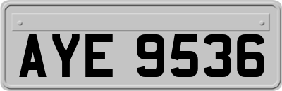 AYE9536