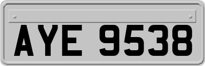 AYE9538