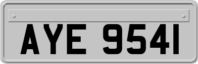 AYE9541
