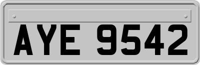 AYE9542