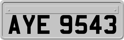 AYE9543