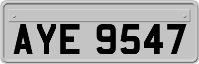 AYE9547