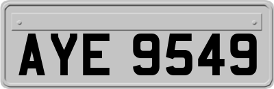 AYE9549