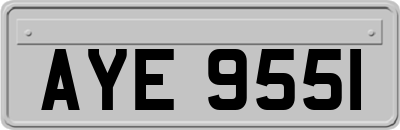 AYE9551