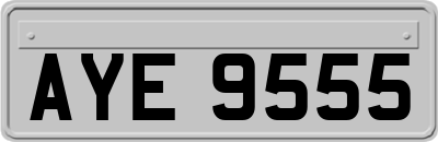 AYE9555