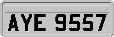 AYE9557