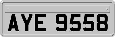 AYE9558