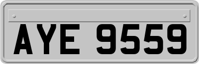 AYE9559