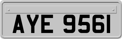 AYE9561