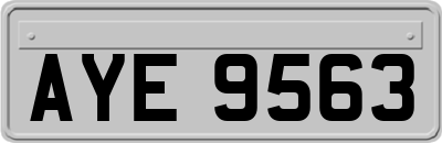 AYE9563