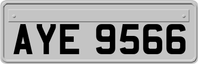 AYE9566