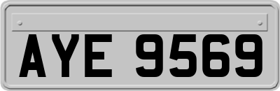 AYE9569