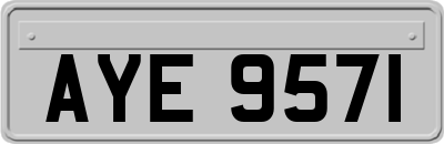 AYE9571