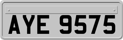 AYE9575
