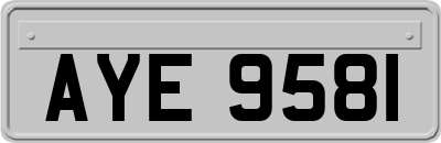 AYE9581