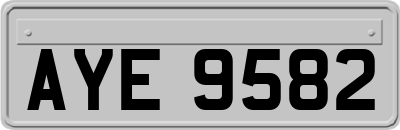 AYE9582