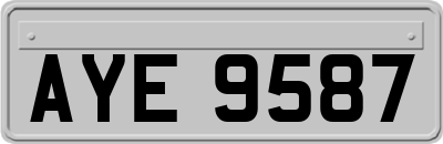 AYE9587