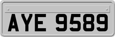 AYE9589