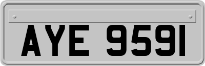 AYE9591